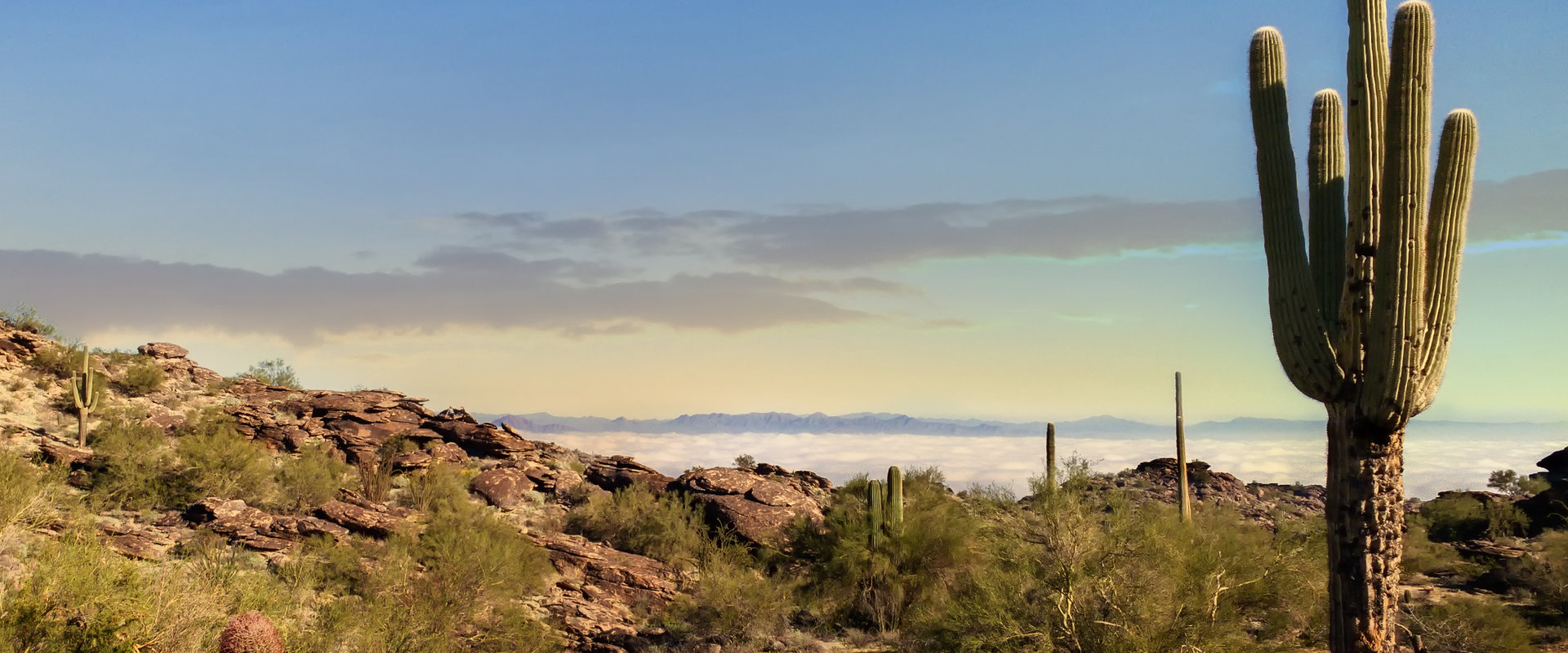 North Phoenix & Anthem Counseling